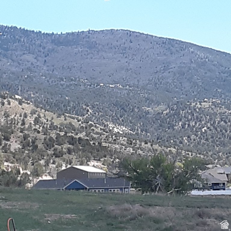 Picture 9