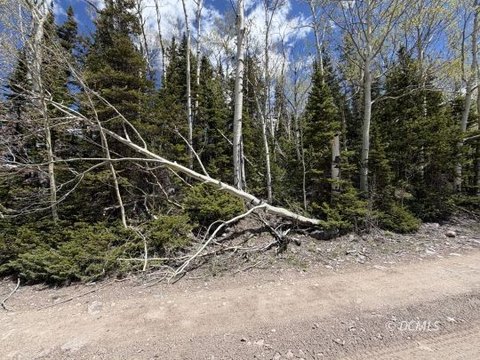 Mountain Lot in Brian Head