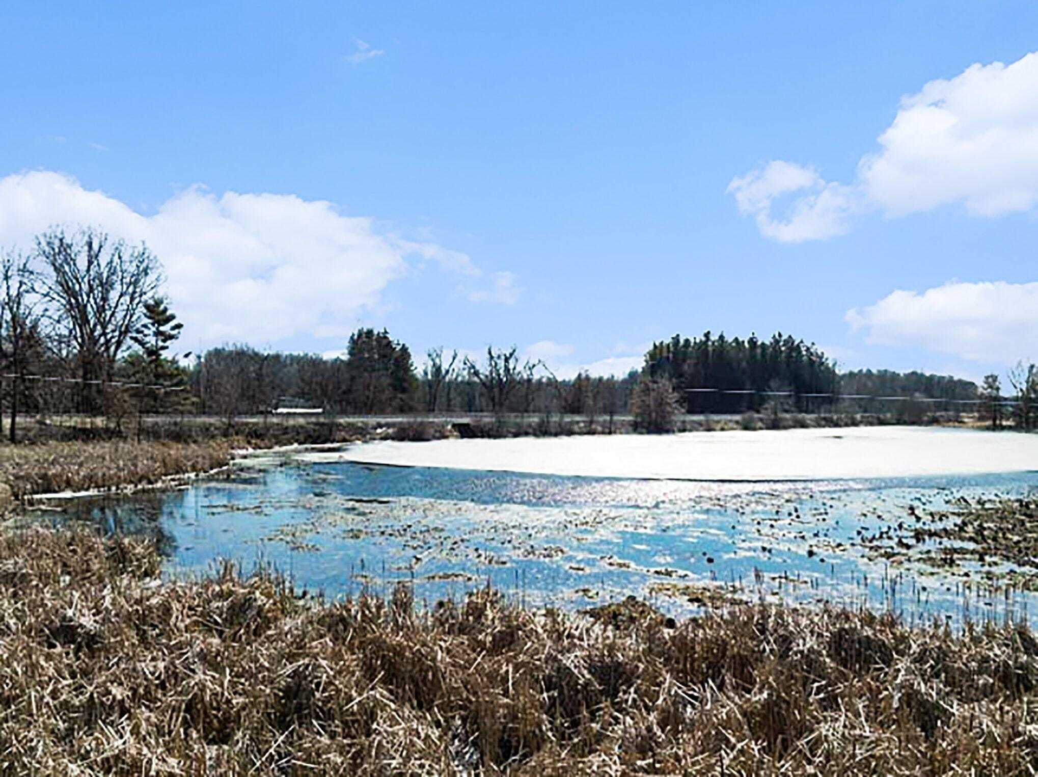 Waterfront Land in Albion, Michigan