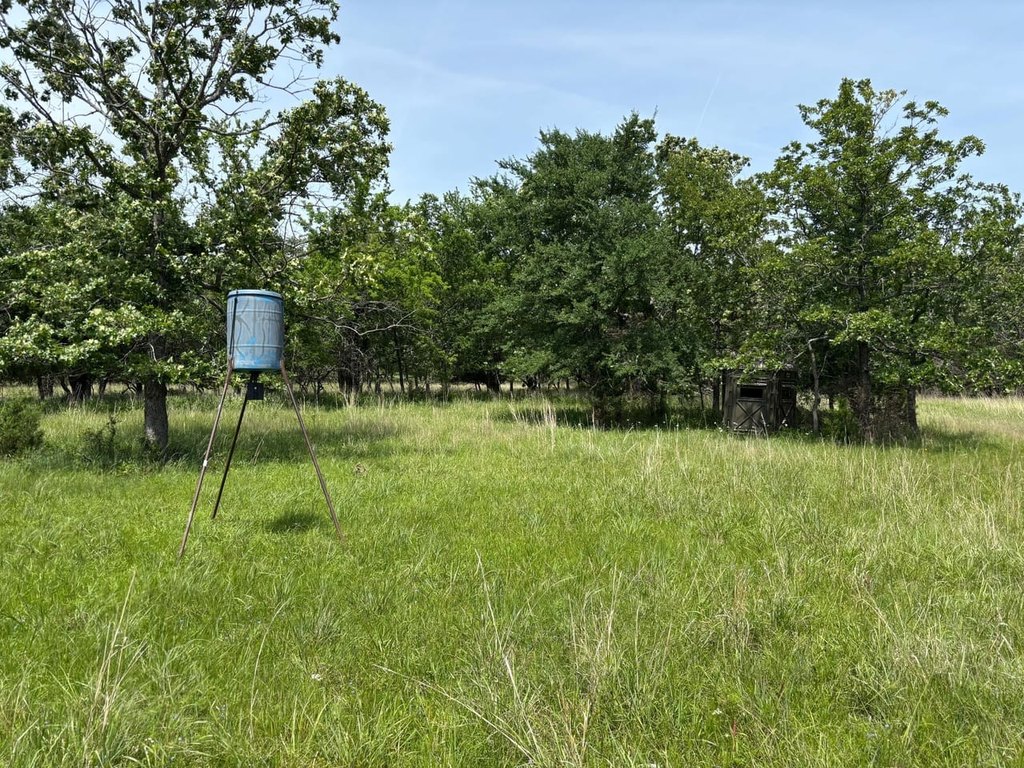 Picture 49