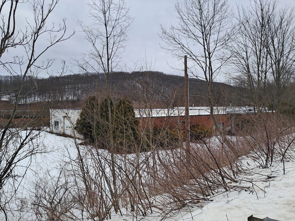 Picture 5