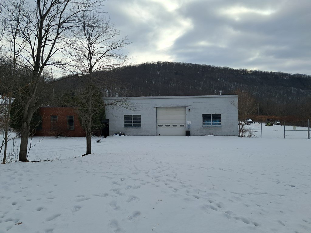 Picture 8