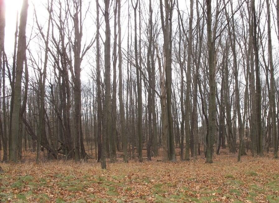 Picture 7