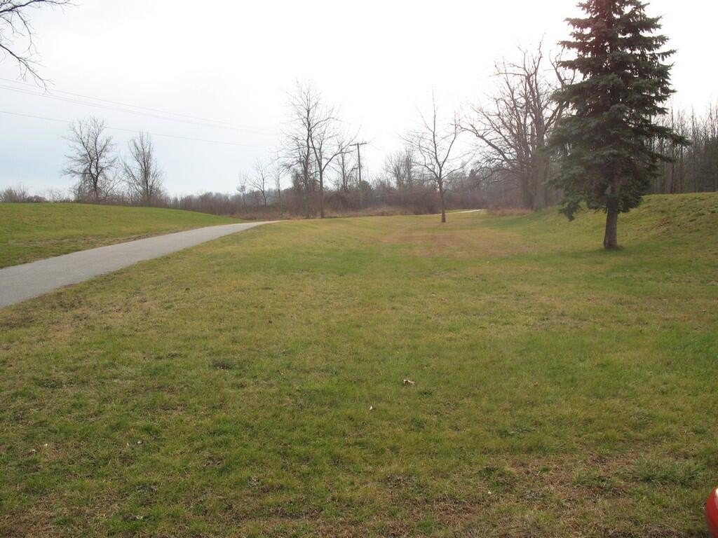 Picture 10