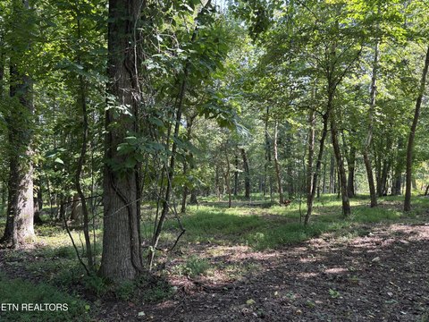 Rockwood Land with Lake Views