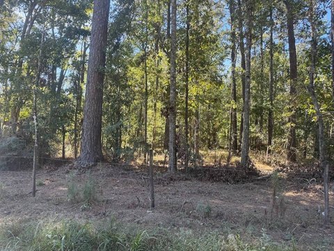 Land, Denham Springs, LA