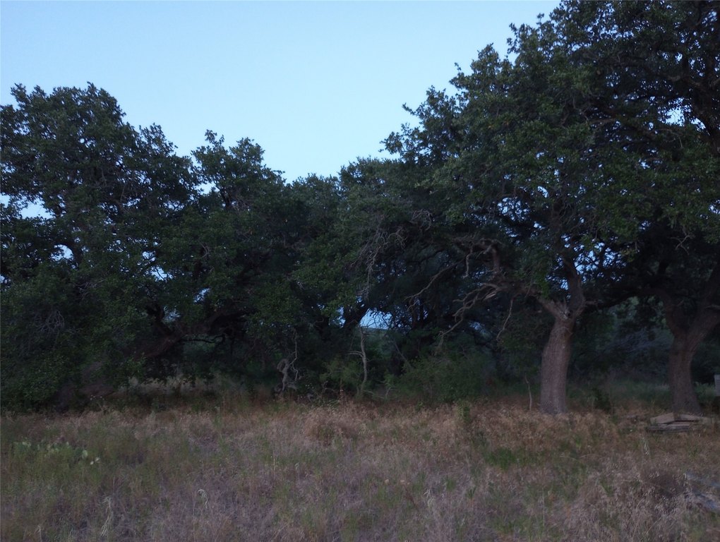 Picture 11