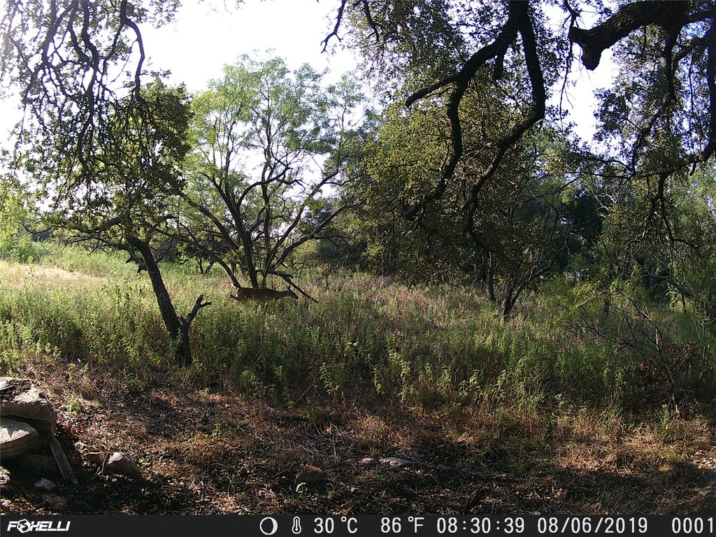 Picture 7