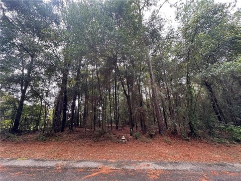 Land, Saraland, AL