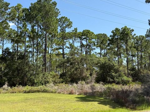 Land, Cape San Blas, FL