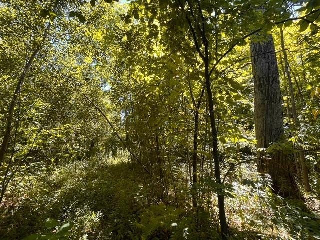 Picture 8