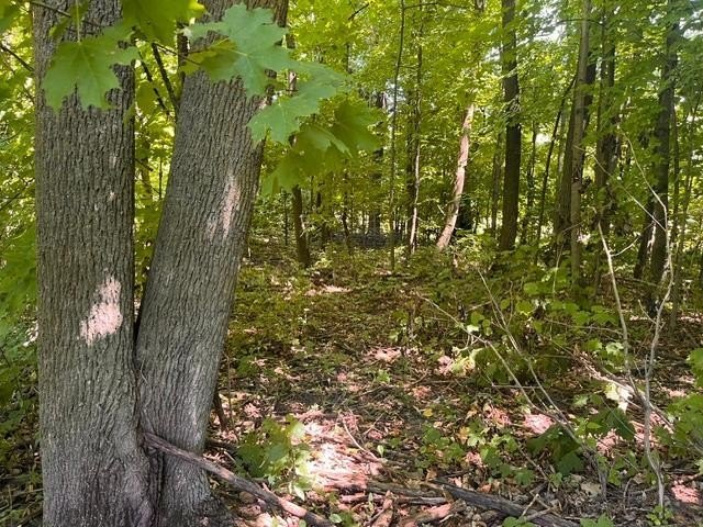 Picture 17