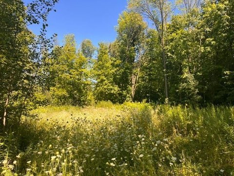 LAND - Woodville, WI