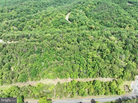 Wooded Lot in Deer Ridge Estates