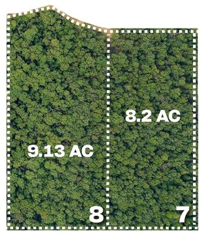Neosho Land with Mature Trees