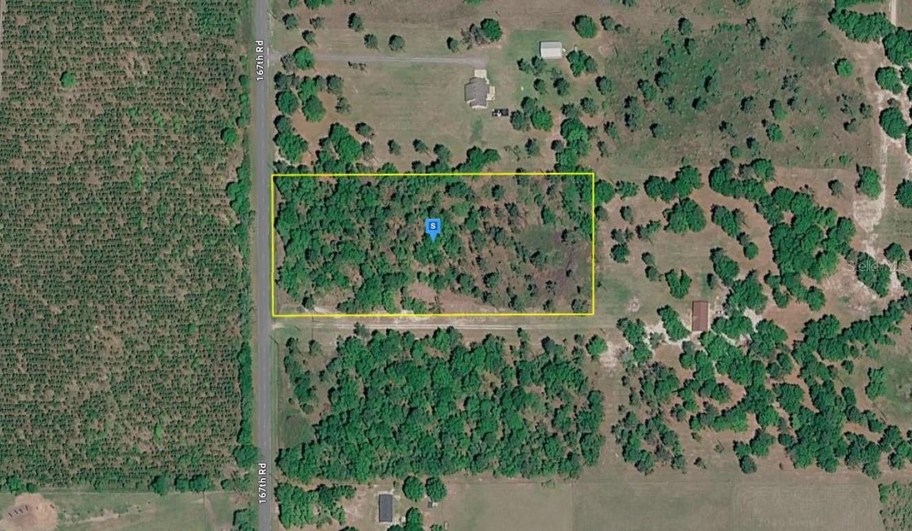 Live Oak Wooded Acreage