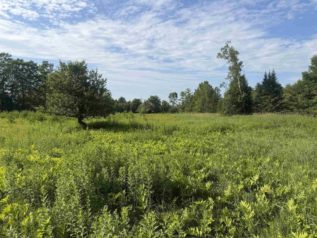 Picture 25