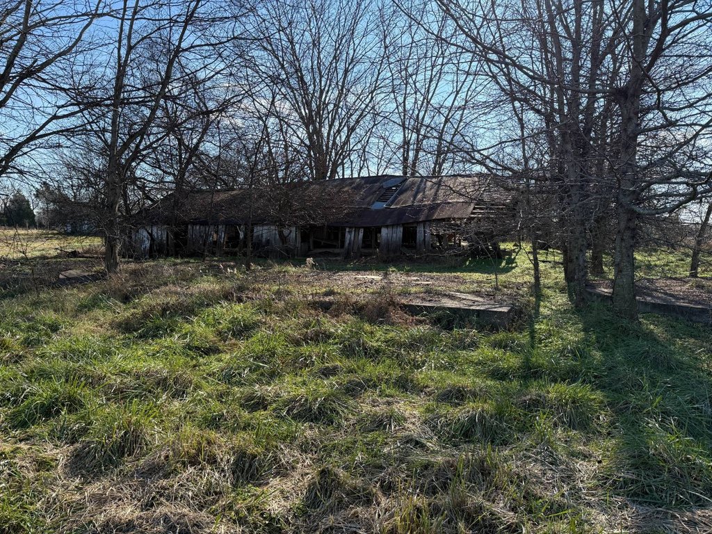 Picture 41