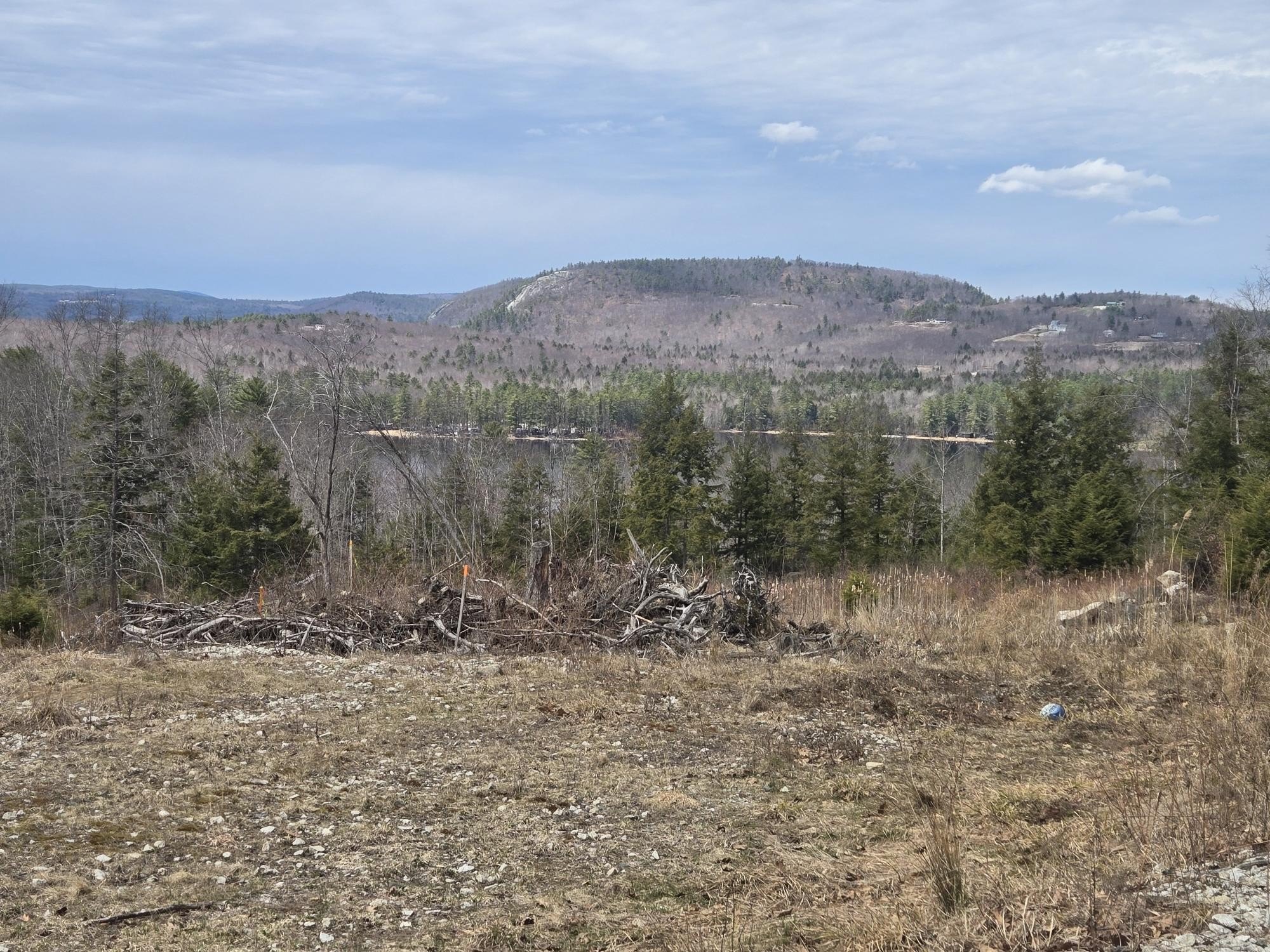 Harrison Land with Mountain Views