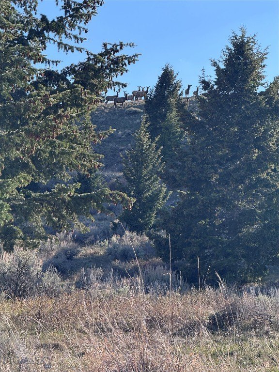 Picture 27