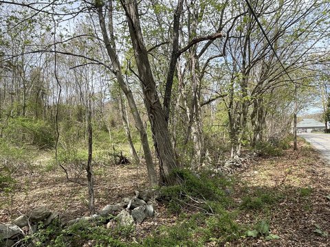 Dighton Land with Development Potential