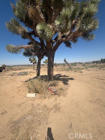 Picture 6