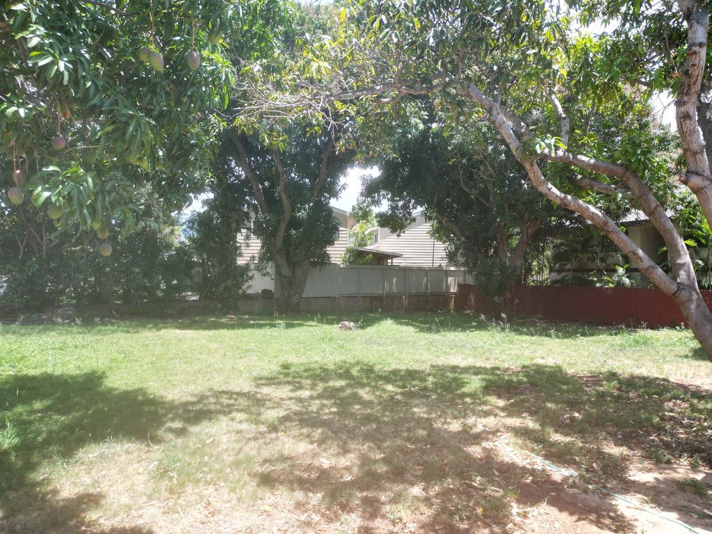Picture 5