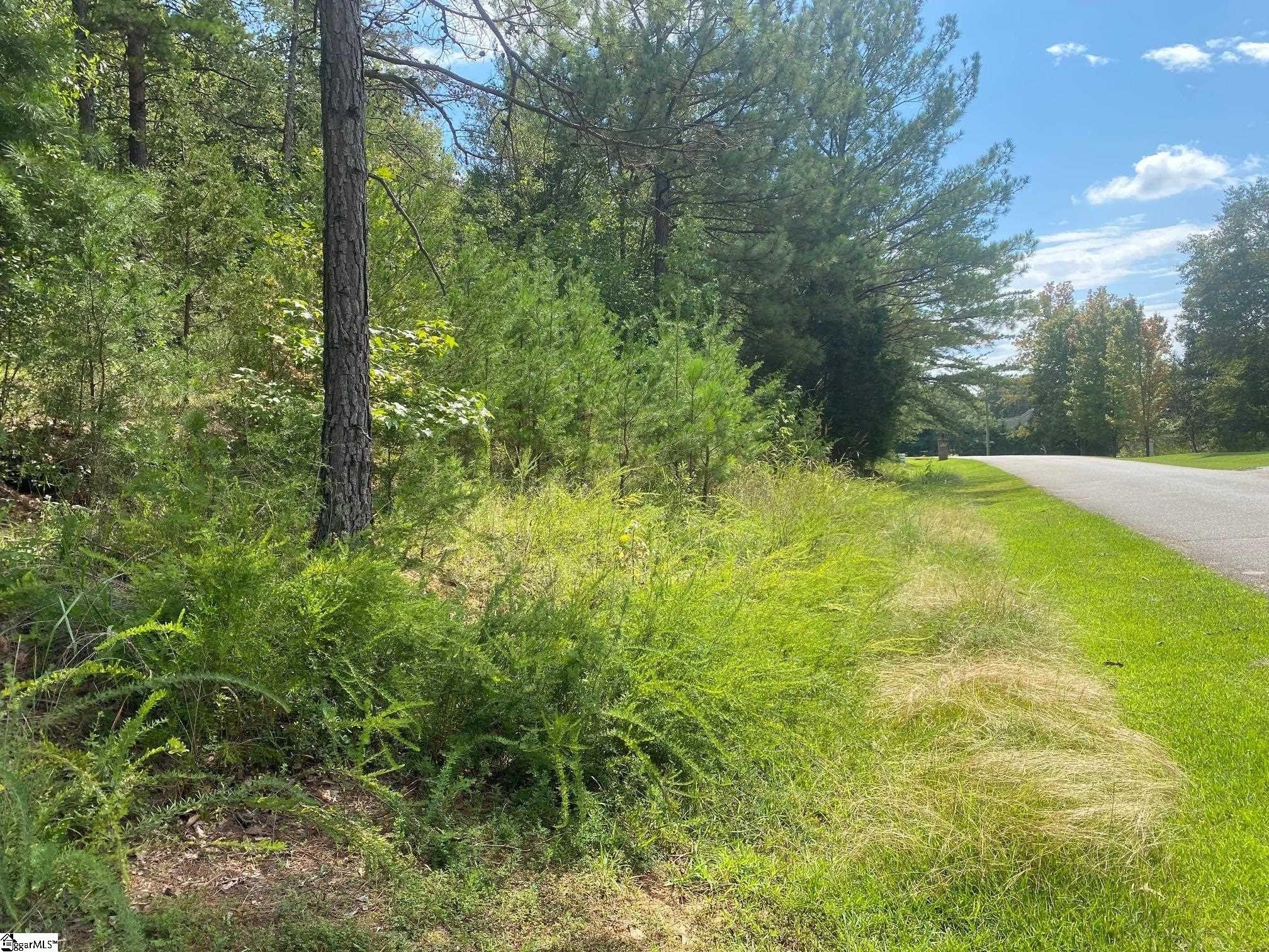 Lake Rabon Water-View Lot