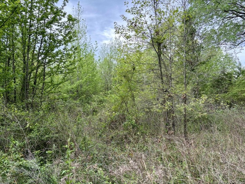 Picture 23