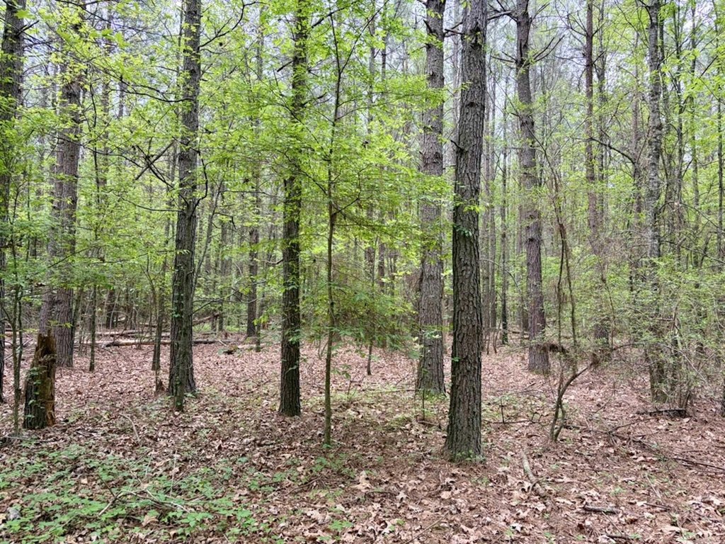 Picture 38