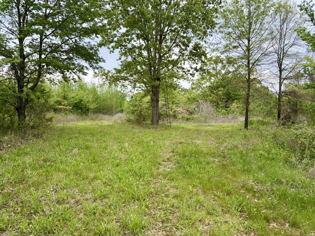 Picture 32