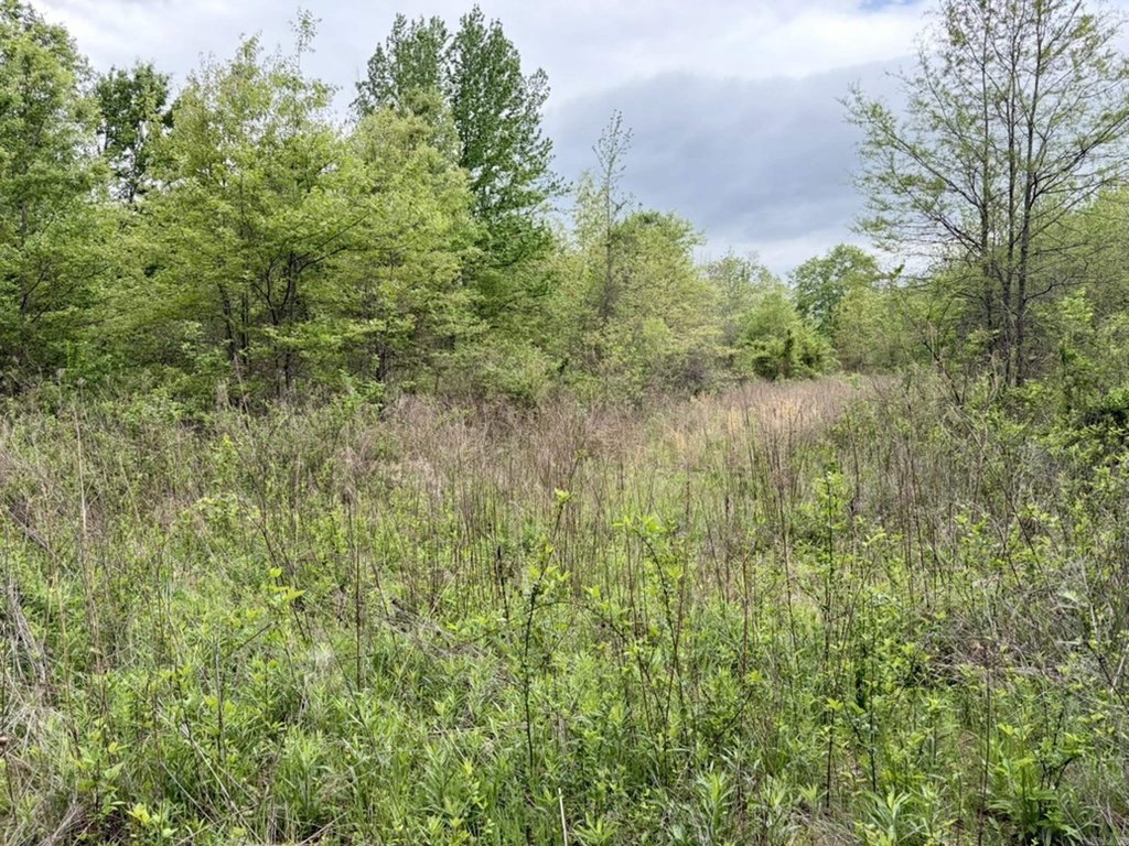 Picture 20