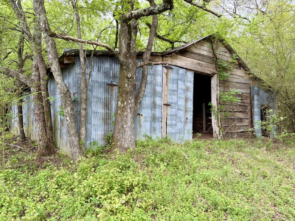 Picture 34