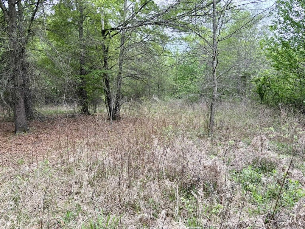 Picture 17