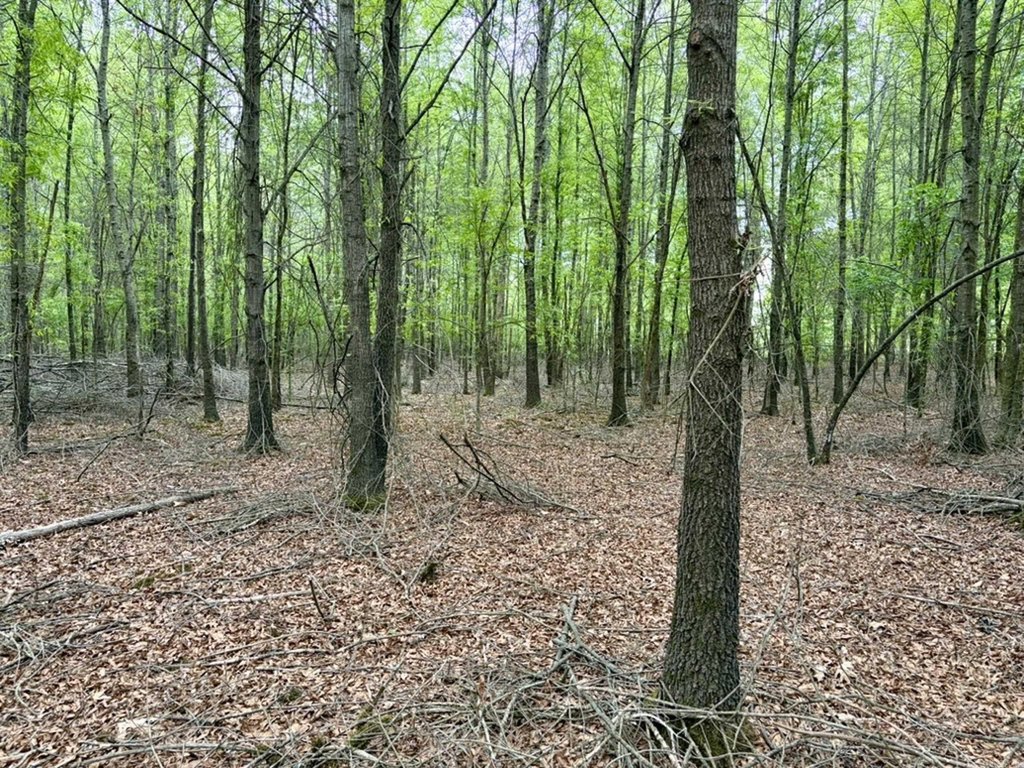 Picture 27