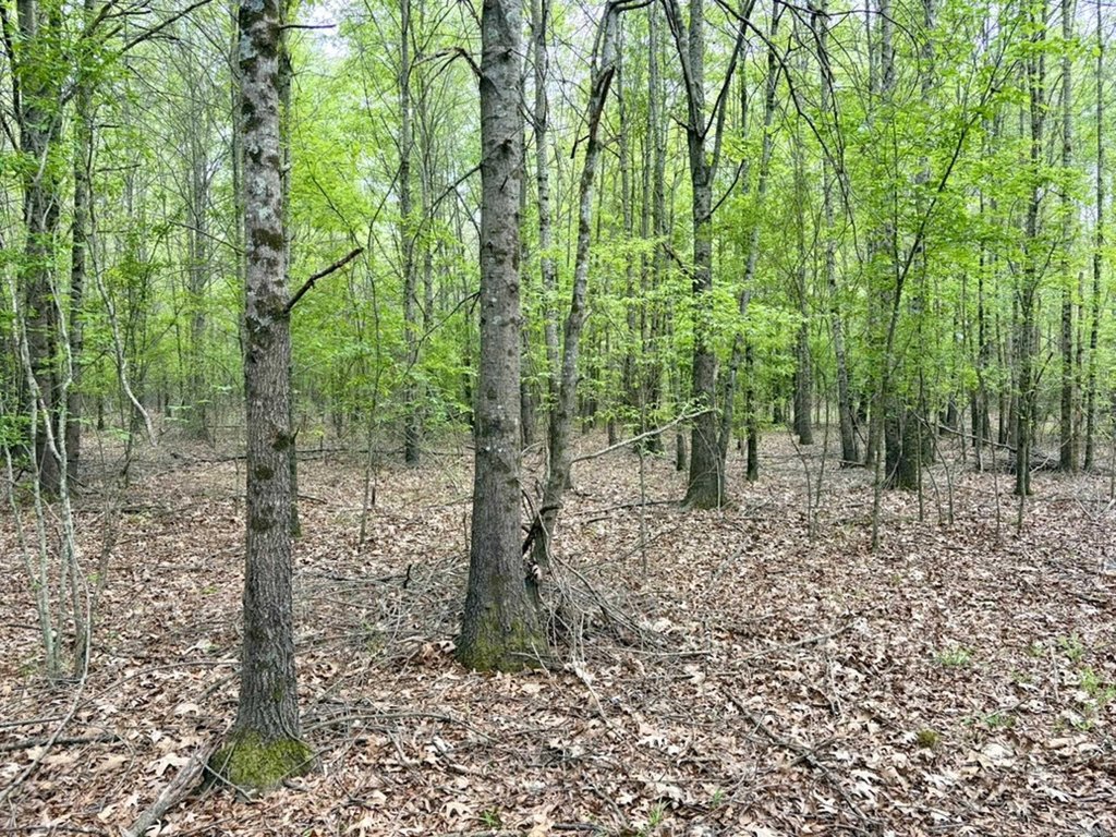 Picture 24