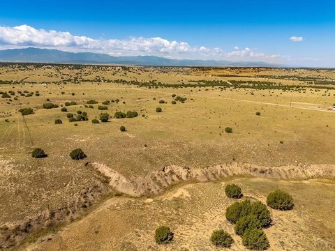 Rural Acreage with Multiple Build Sites