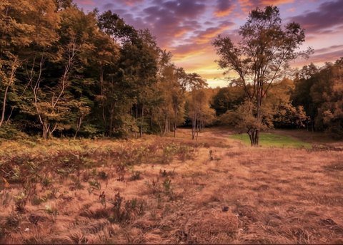 40 Acres Recreational Land Cabin