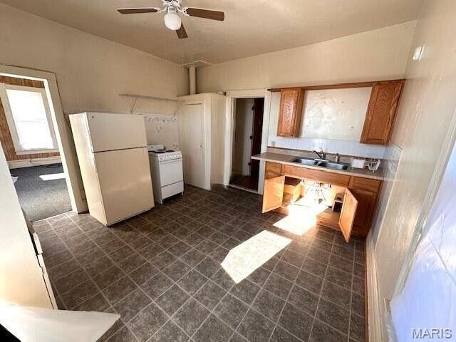Picture 14