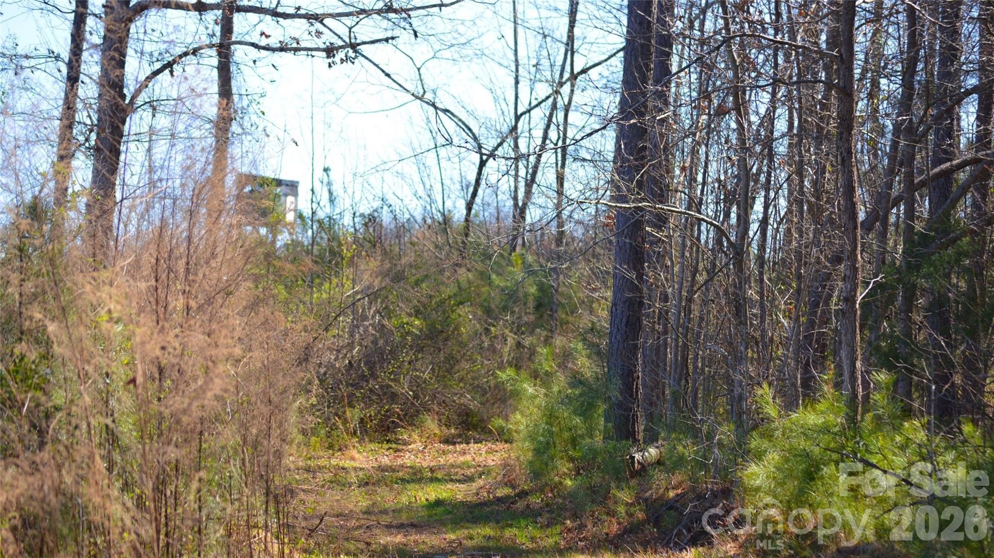 Residential Land in Jonesville, SC