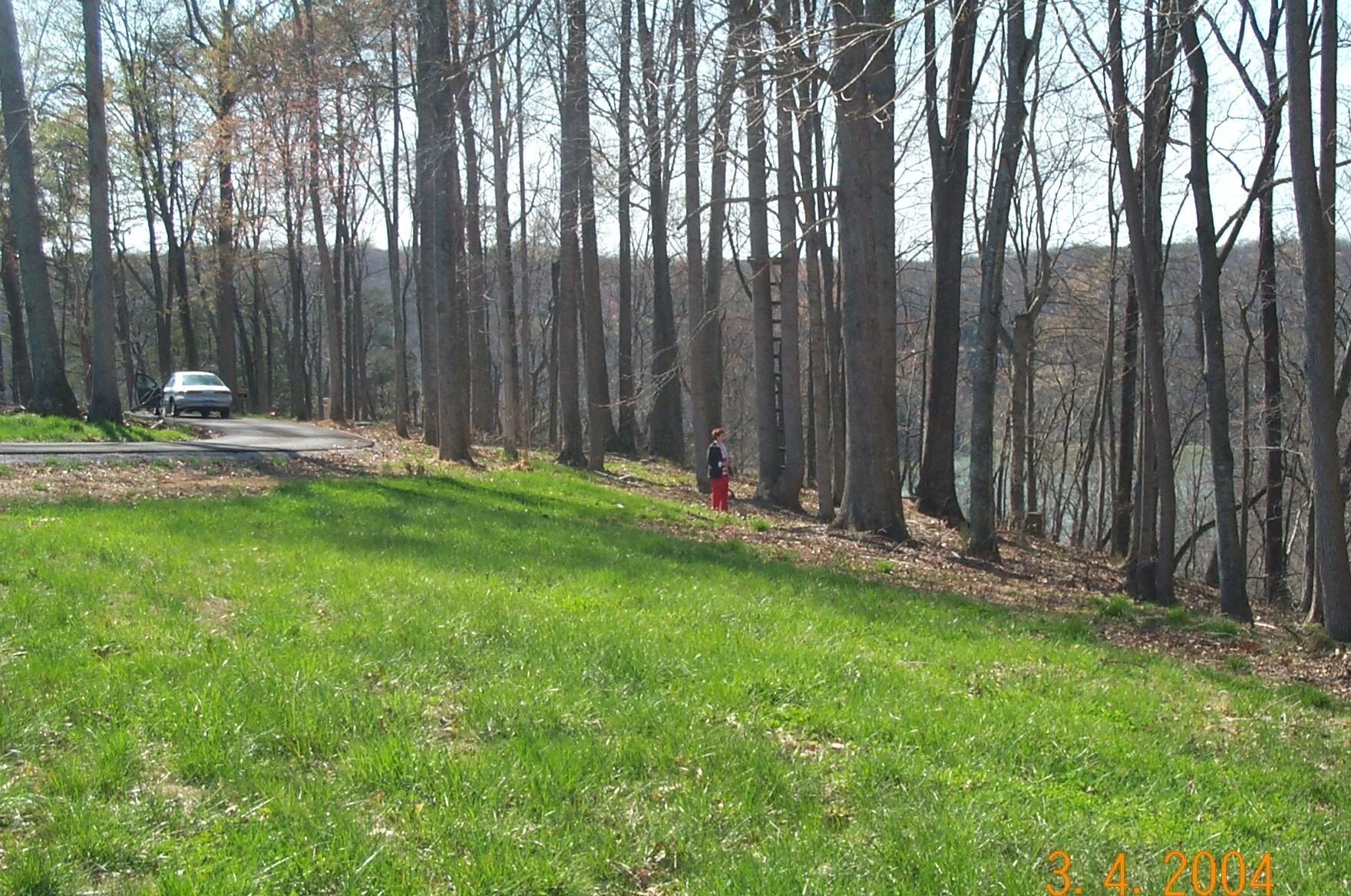 Secluded Lot Near Cumberland Point