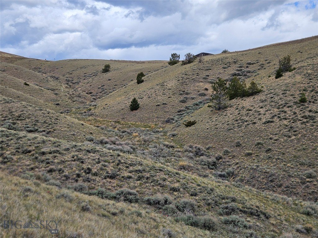 Picture 24