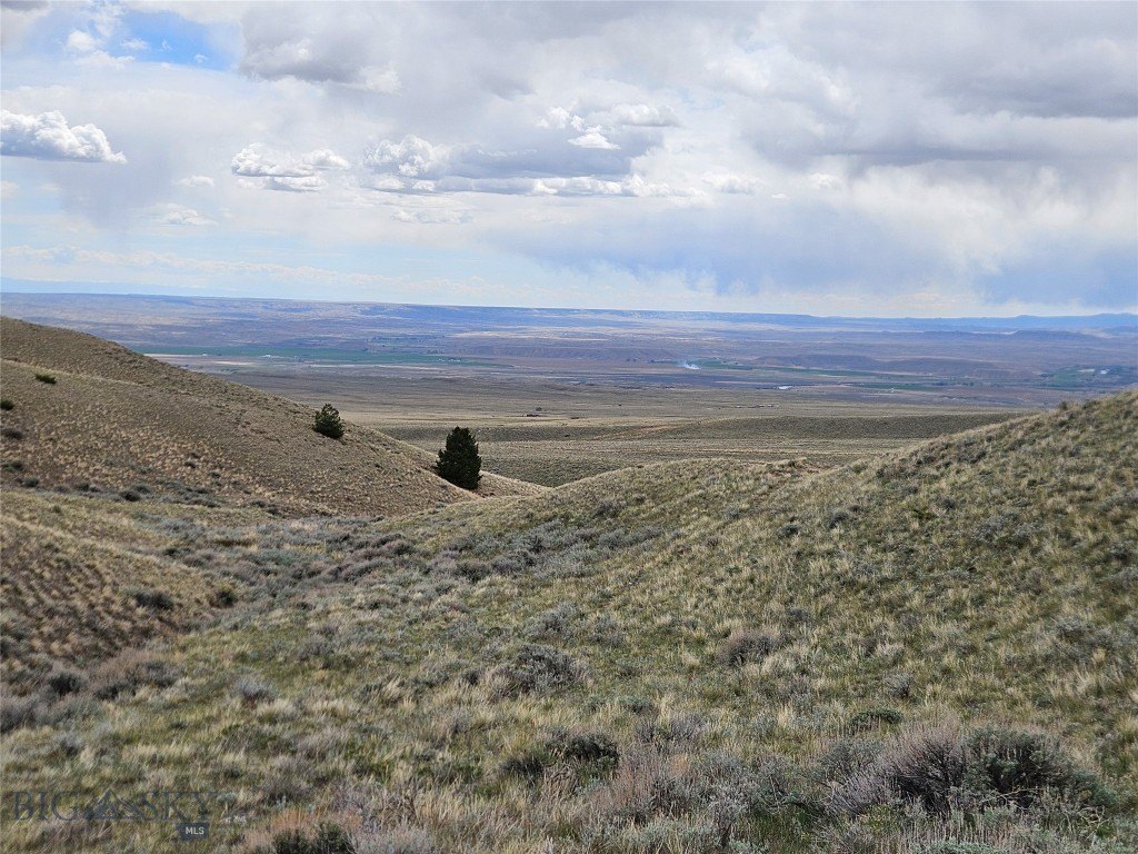 Picture 26