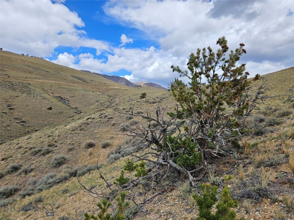 Picture 30