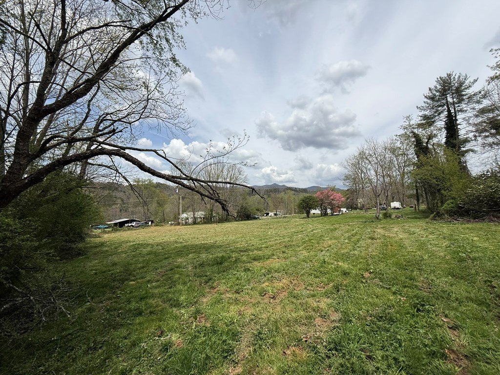Picture 8