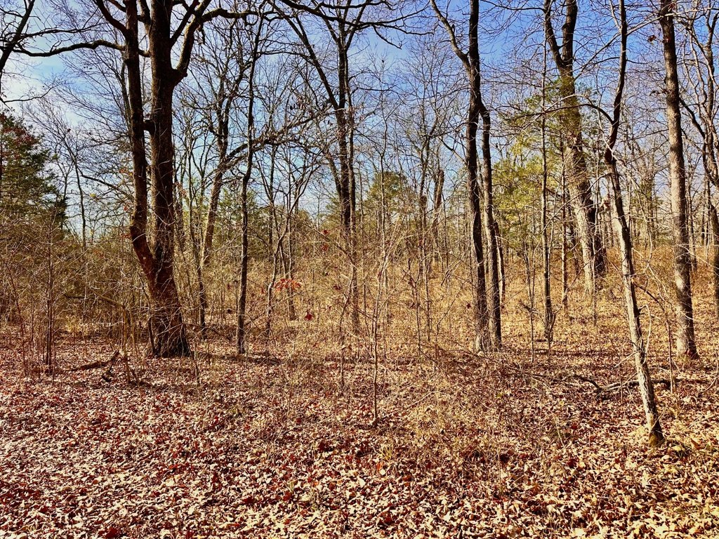 Picture 21