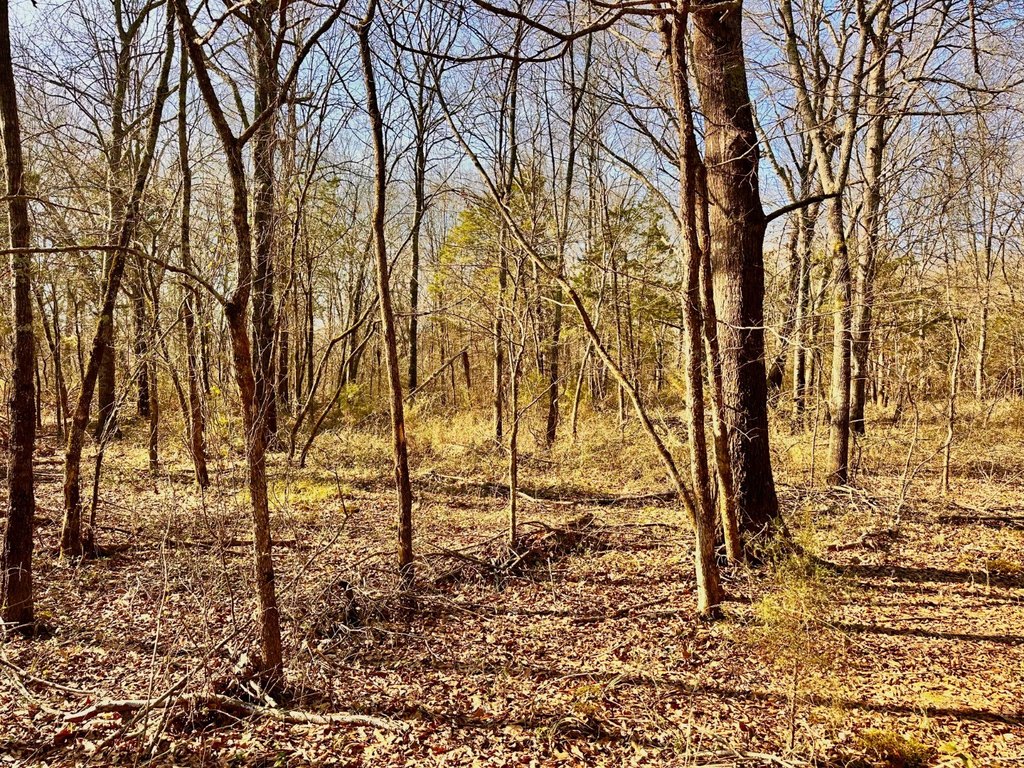 Picture 41