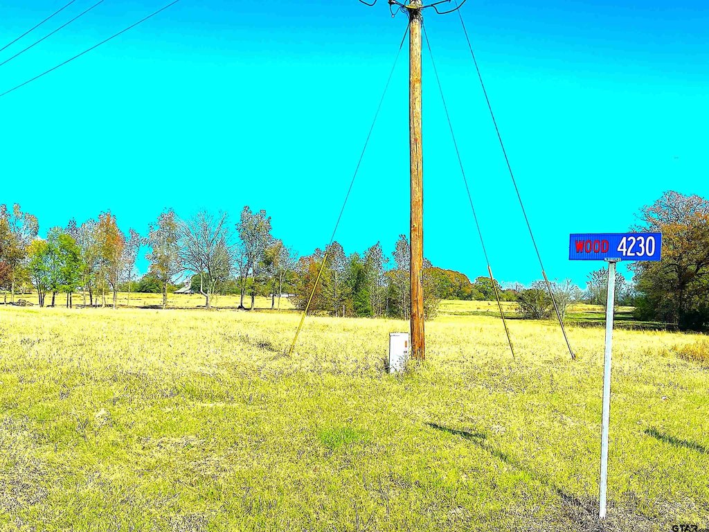 Picture 5