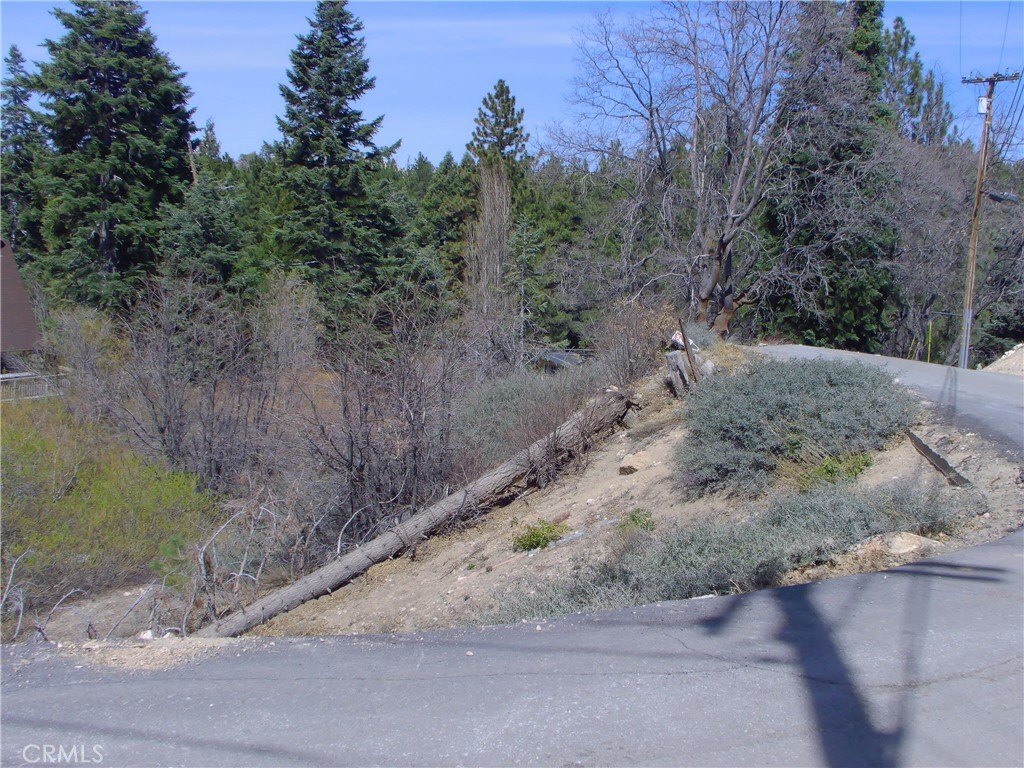 Picture 3