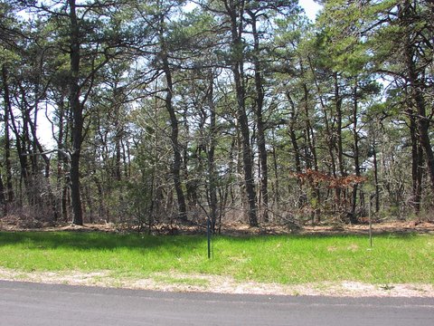 LAND - Wellfleet, MA